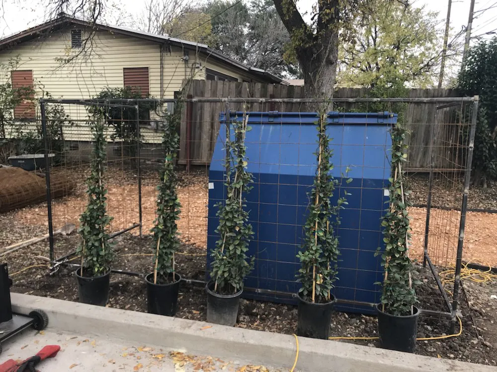 Local landscape design for homes across Austin, TX - Keep Austin Landscaped