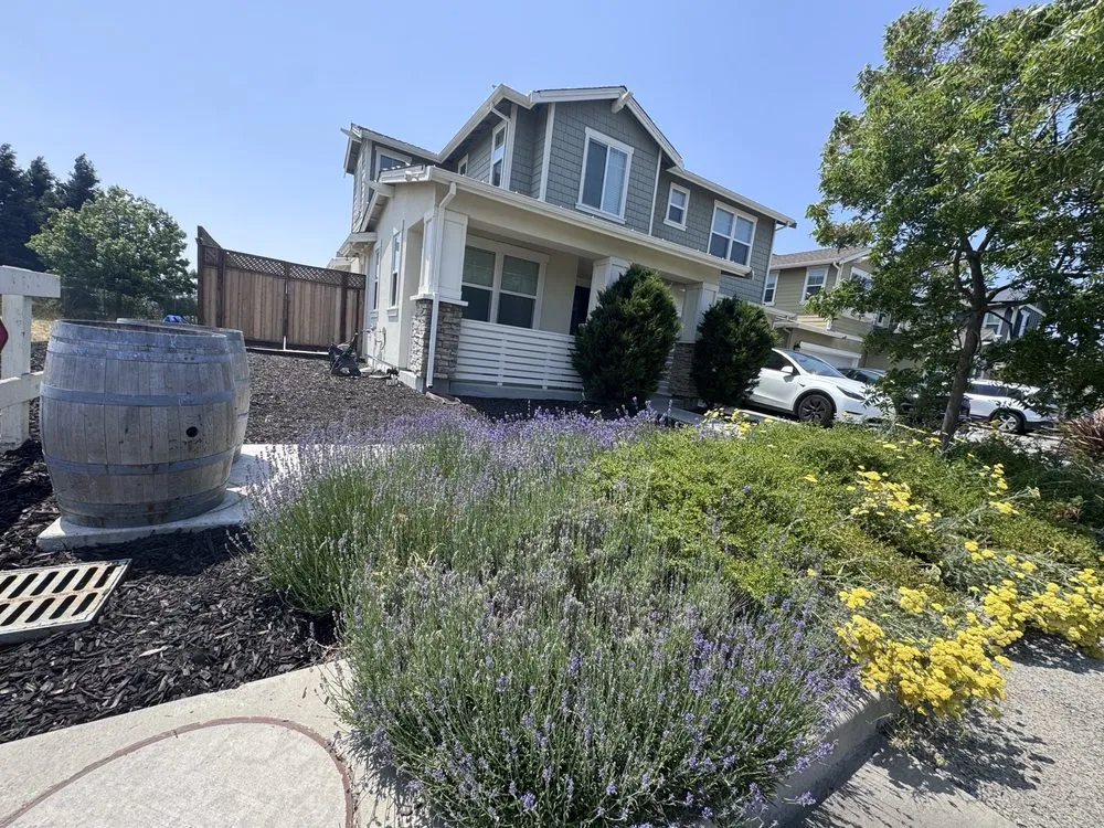 Reliable yard cleanup service near you across Santa Rosa, CA - Keep Green Landscape