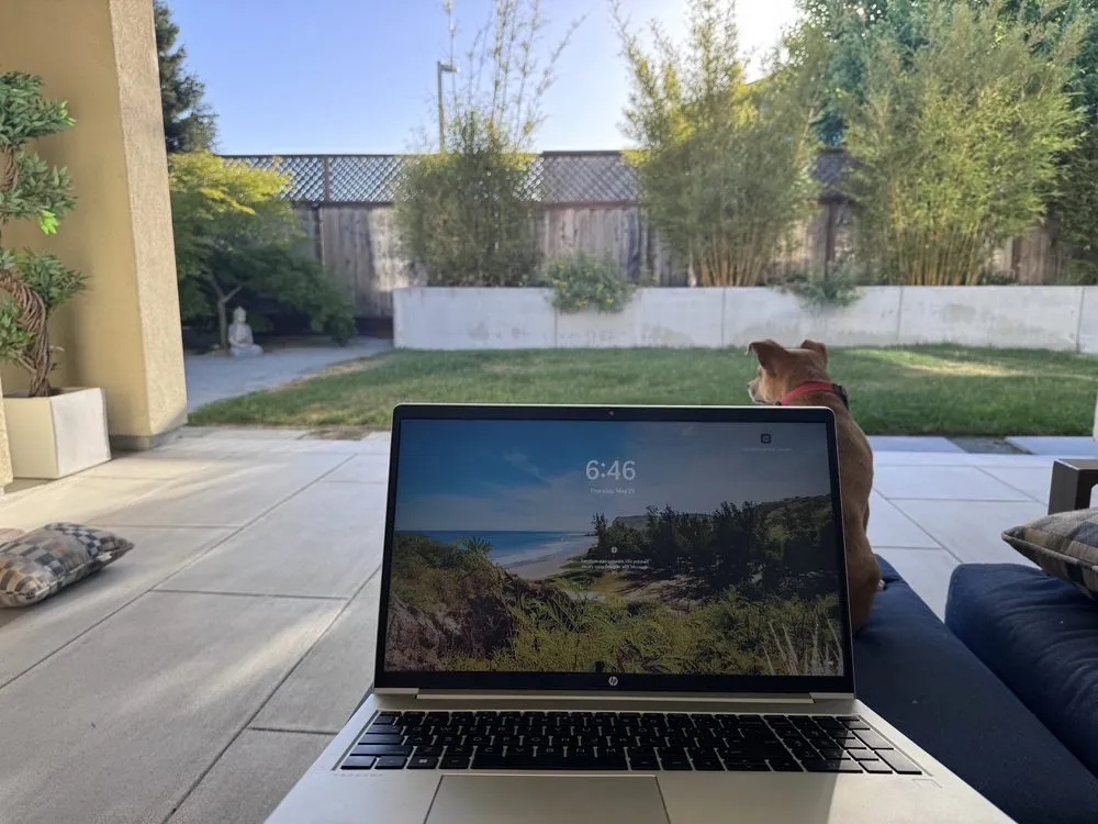 Expert landscape design in Santa Rosa, CA by Keep Green Landscape