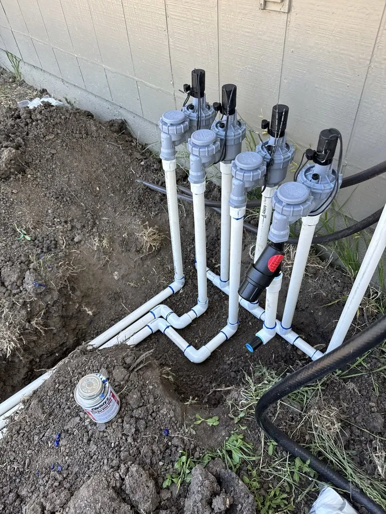 Professional yard cleanup service in Santa Rosa, CA by Keep Green Landscape