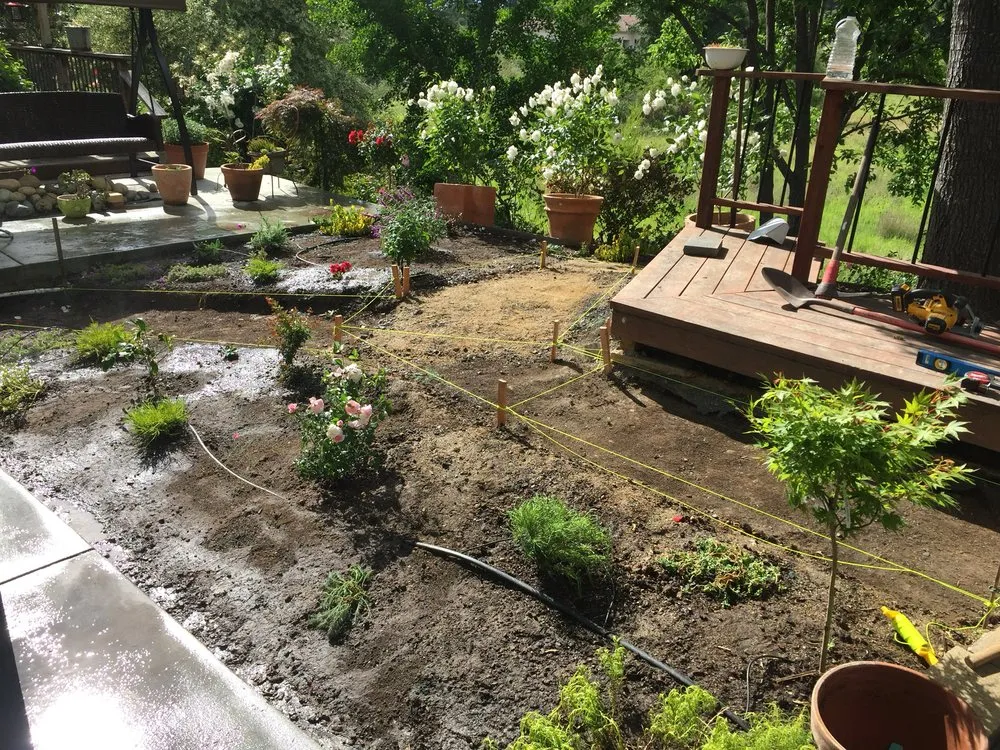 Local yard cleanup service in Santa Rosa, CA - Keep Green Landscape