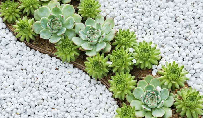 Local lawn care service in Kissimmee, FL by Keep it Clean - Eco Solutions