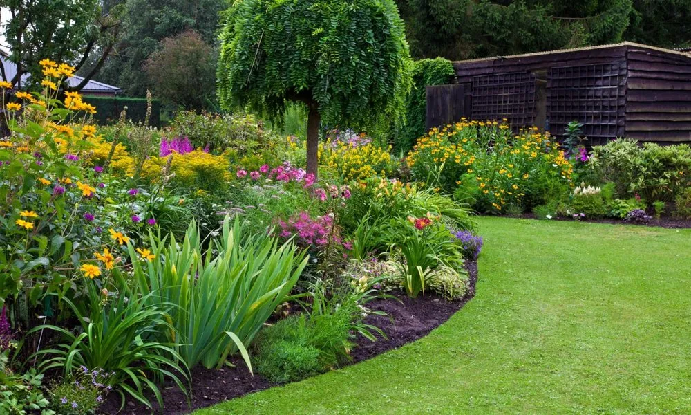 Local yard maintenance in Kissimmee, FL - Keep it Clean - Eco Solutions