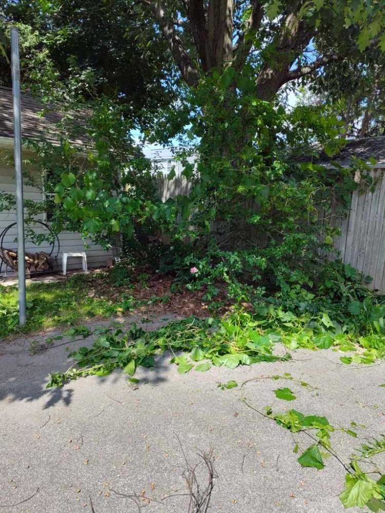 Local landscape installation in Syracuse, NY by Keep It Clean Lawn Care