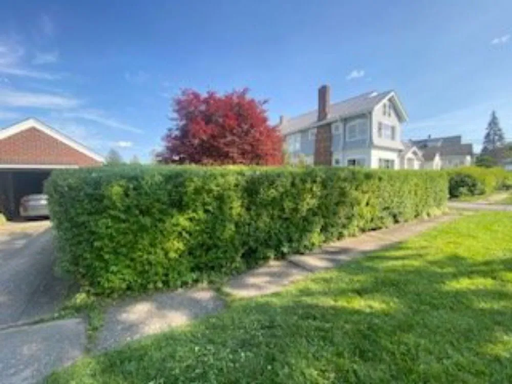 Trusted landscaping services experts serving Syracuse, NY - Keep It Clean Lawn Care