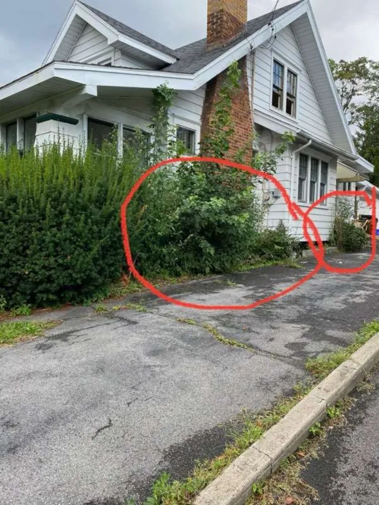 Affordable residential landscaping in Syracuse, NY - Keep It Clean Lawn Care