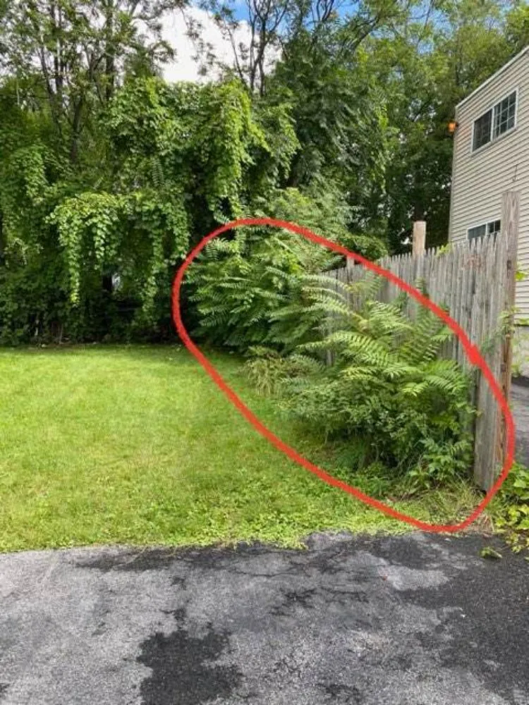 Professional landscape installation experts serving Syracuse, NY - Keep It Clean Lawn Care