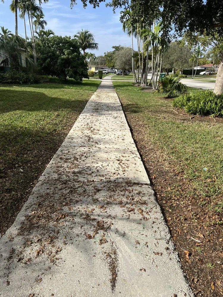 Top-rated yard maintenance near you in Miami, FL by Keep It Clean Property Maintenance