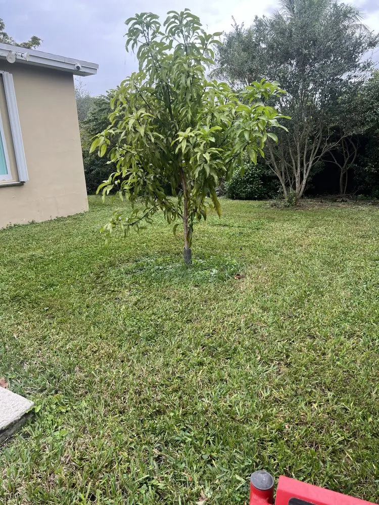 Local yard maintenance in Miami, FL - Keep It Clean Property Maintenance