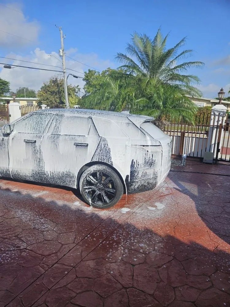 Expert residential landscaping for year-round maintenance across Miami, FL - Keep It Clean Property Maintenance