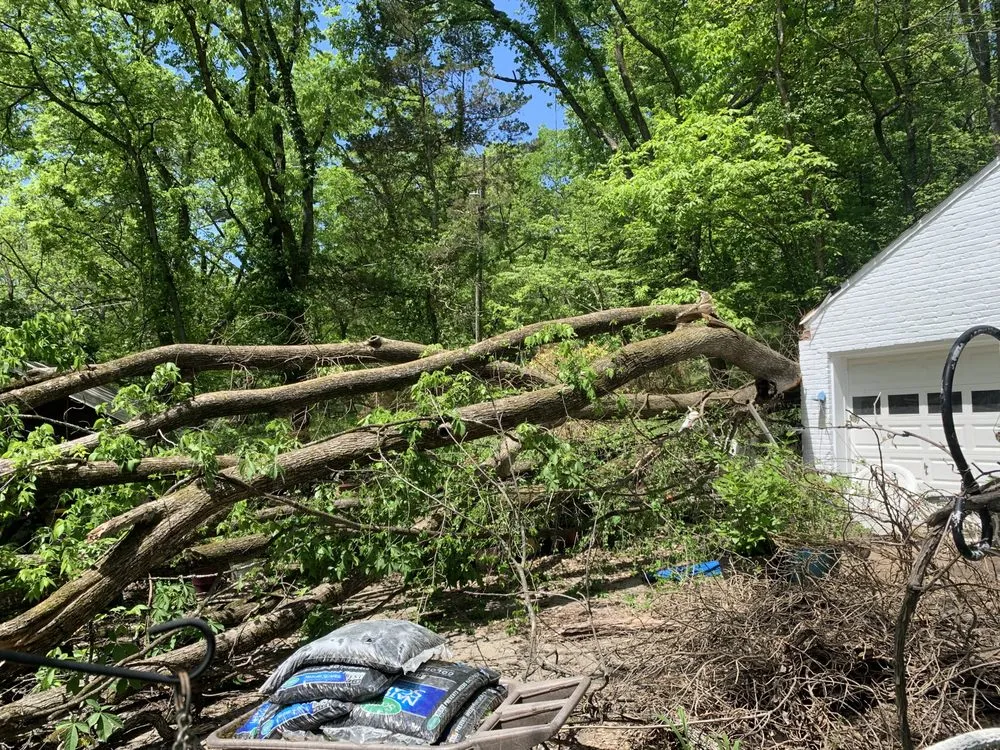 Local garden landscaping for residential properties in Nashville, TN by Keep it Clean Tree Service