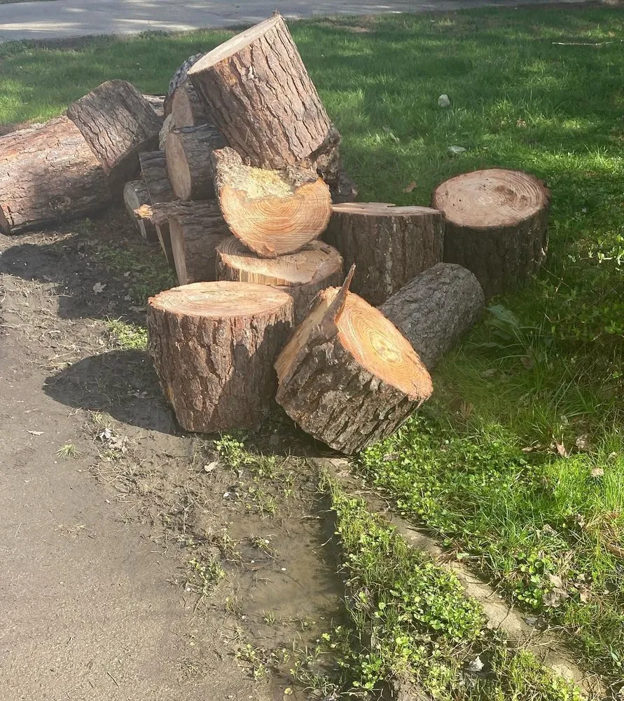 Affordable outdoor landscaping near you across Nashville, TN - Keep it Clean Tree Service