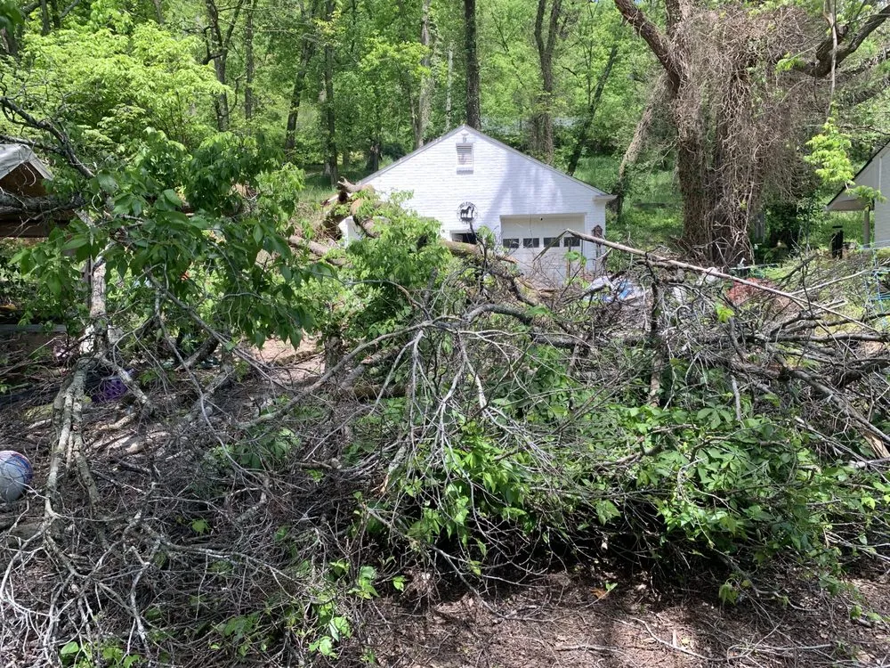 Professional landscape installation in Nashville, TN - Keep it Clean Tree Service