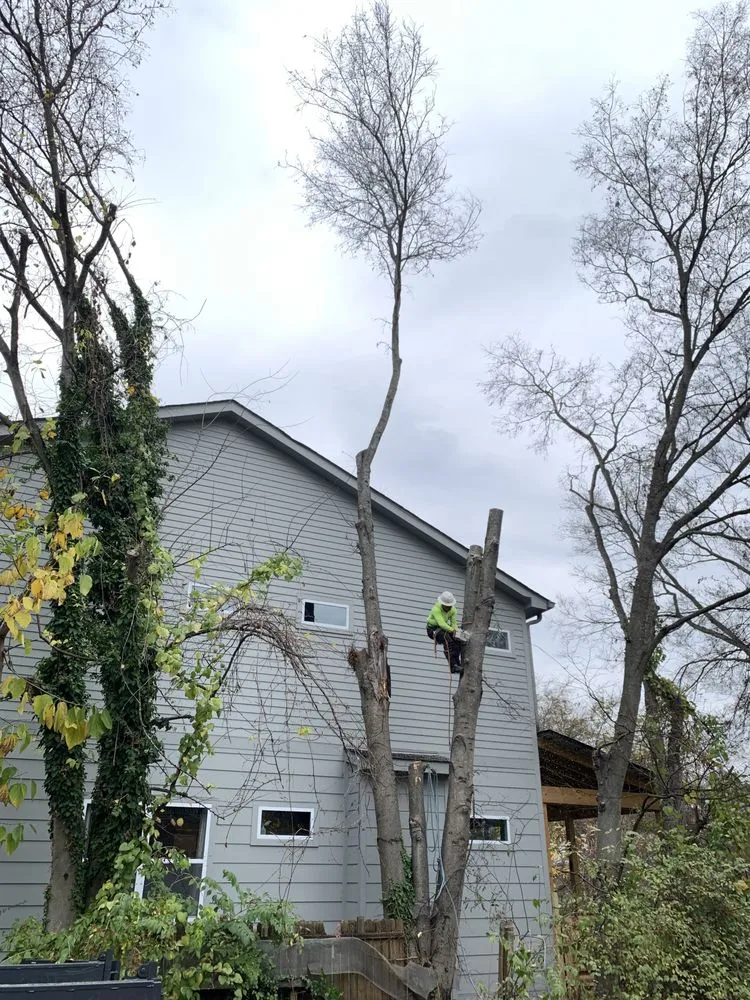 Local landscaping services near you across Nashville, TN - Keep it Clean Tree Service