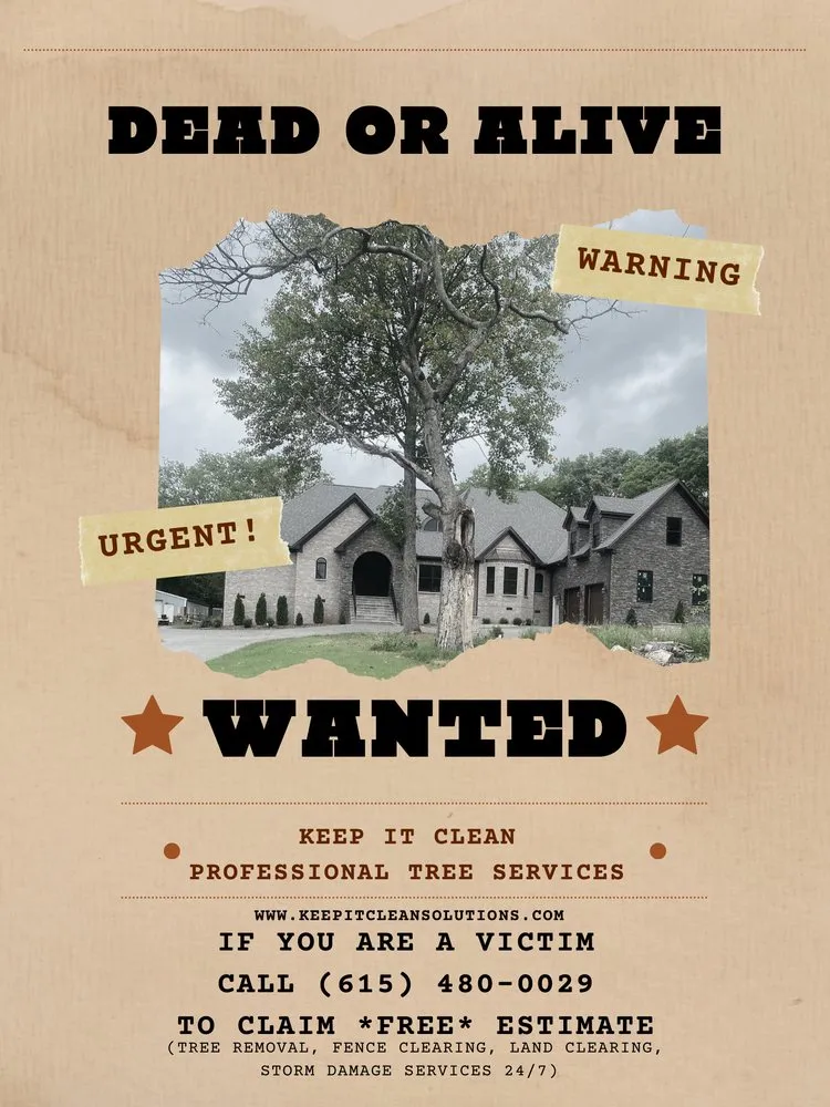 Local yard cleanup service in Nashville, TN by Keep it Clean Tree Service