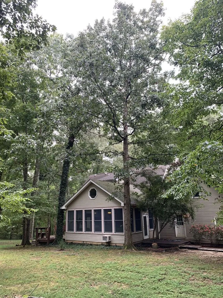 Expert garden landscaping for outdoor upgrades across Nashville, TN - Keep it Clean Tree Service