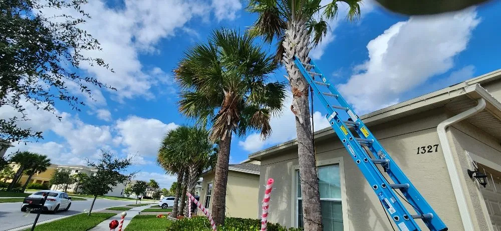 Professional residential landscaping experts serving Vero Beach, FL - Keep It Clipped Landscaping & Home Services