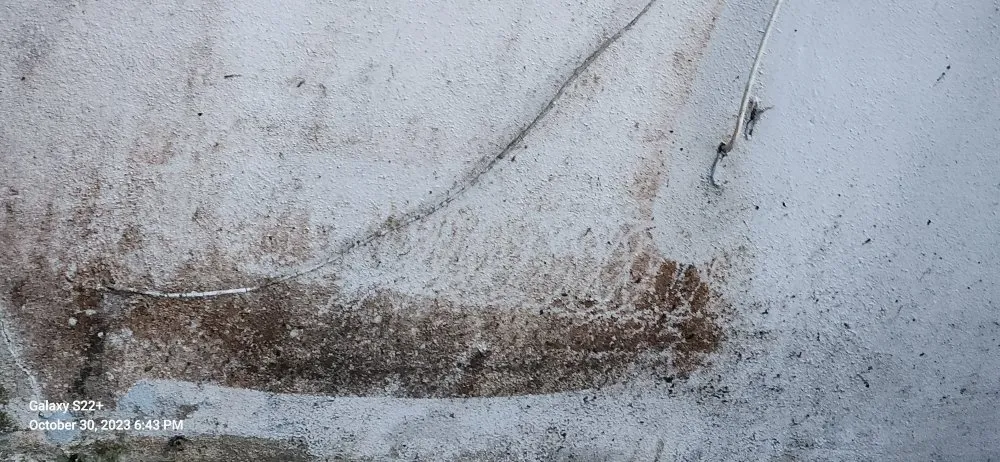 Trusted yard cleanup service in Vero Beach, FL by Keep It Clipped Landscaping & Home Services