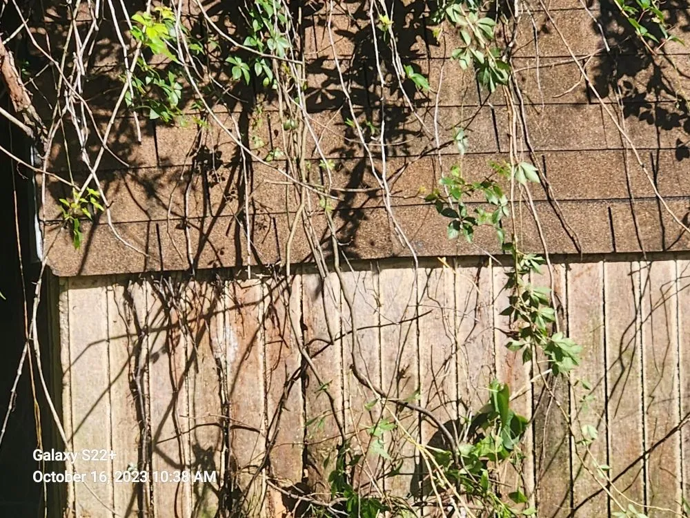 Local lawn care service in Vero Beach, FL by Keep It Clipped Landscaping & Home Services