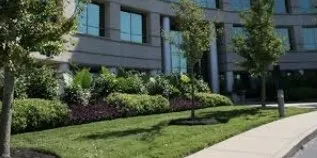 Trusted outdoor landscaping in Anna, TX - Keep It Cut