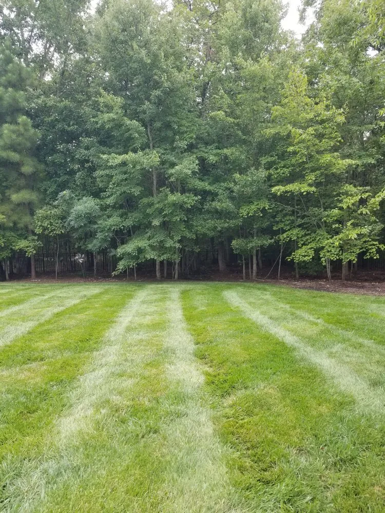 Expert lawn care service in Richmond, VA - Keep It Cut Lawn Service