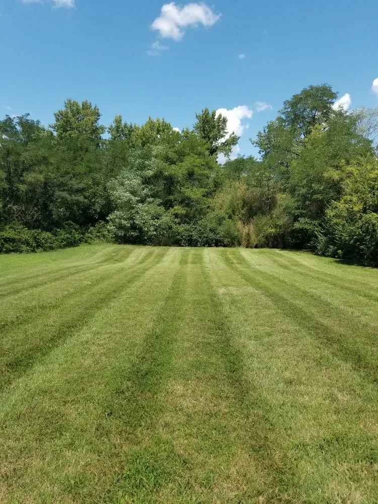 Custom yard cleanup service for outdoor upgrades in Richmond, VA by Keep It Cut Lawn Service