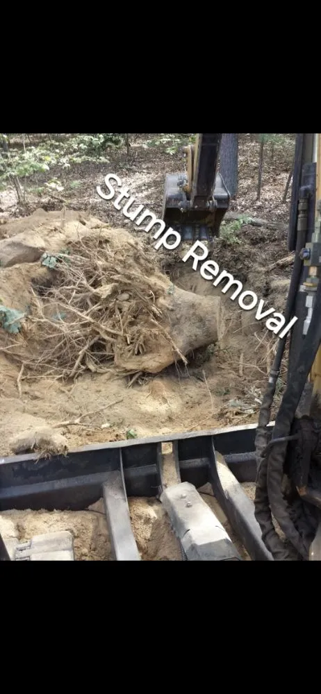 Professional lawn care service for year-round maintenance across Blackstone, MA - Keep It Green Hydroseeding