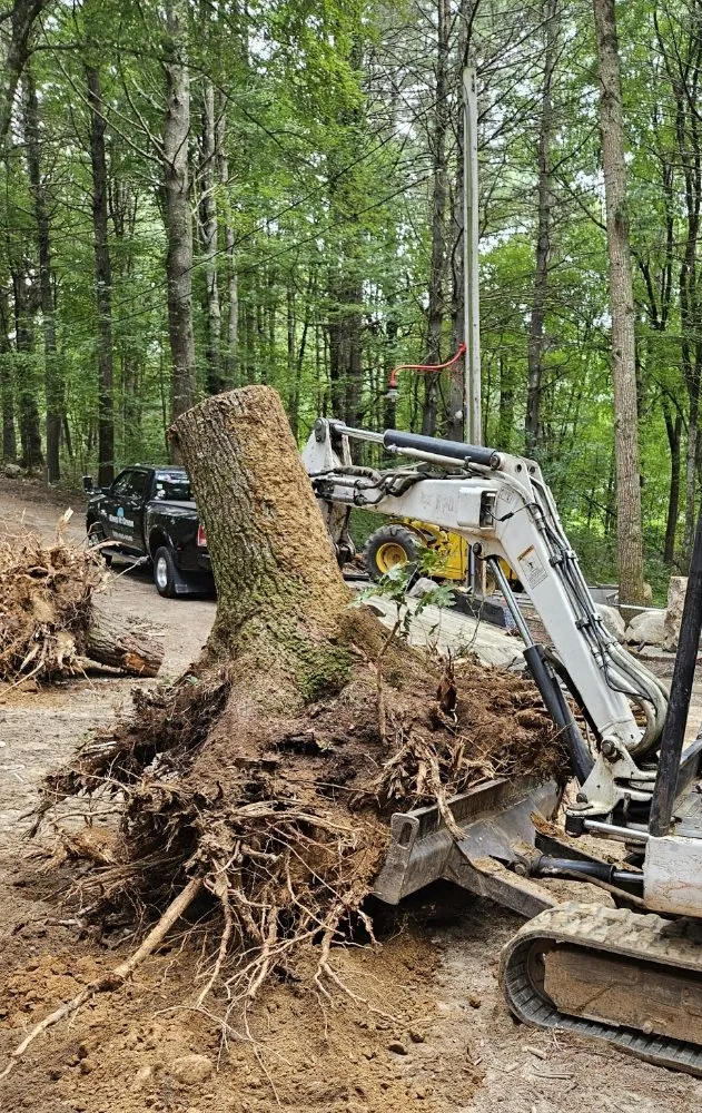 Top-rated garden landscaping with custom design in Blackstone, MA by Keep It Green Hydroseeding