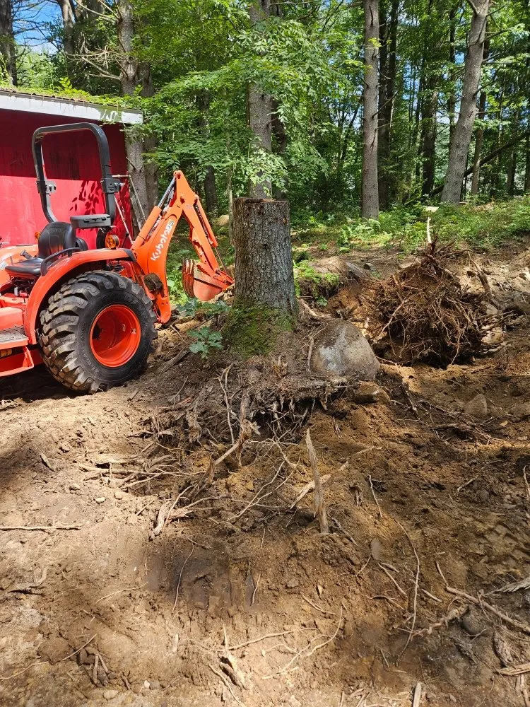 Professional yard maintenance for residential properties in Blackstone, MA by Keep It Green Hydroseeding