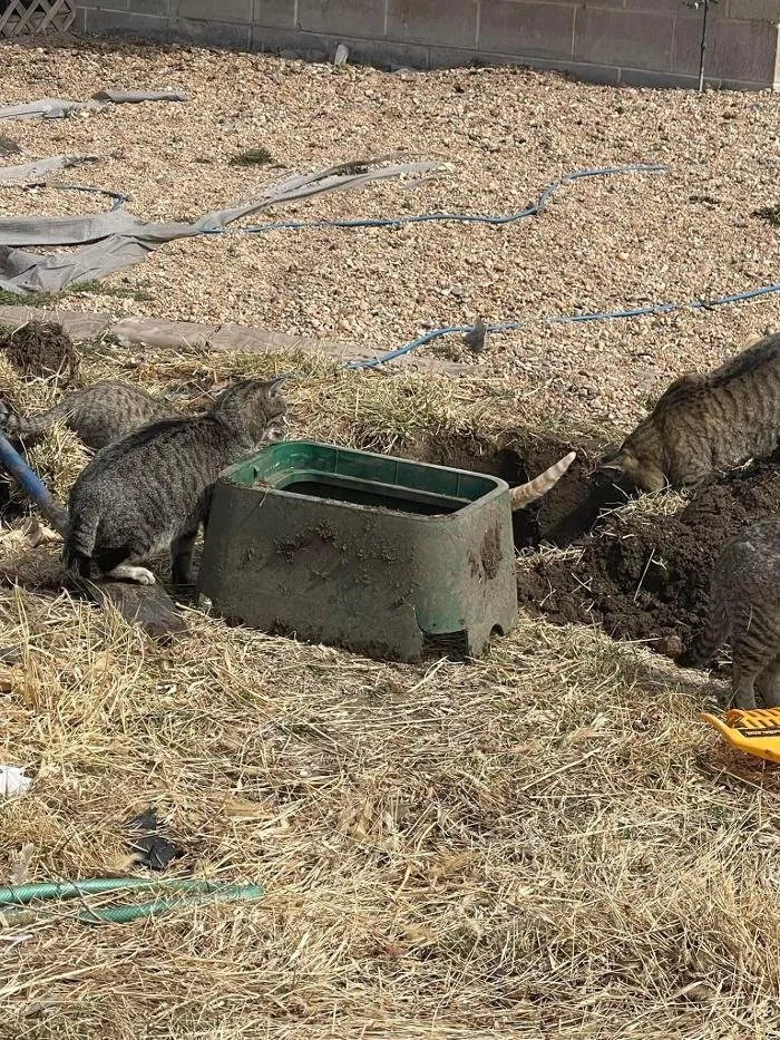 Reliable landscape installation for homes across Hastings, NE - Keep It Green Sprinkler