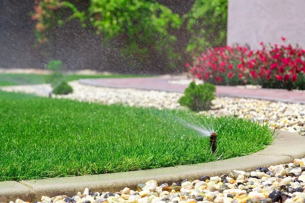 Reliable yard maintenance experts serving South Los Angeles, CA - Keep It Leafy