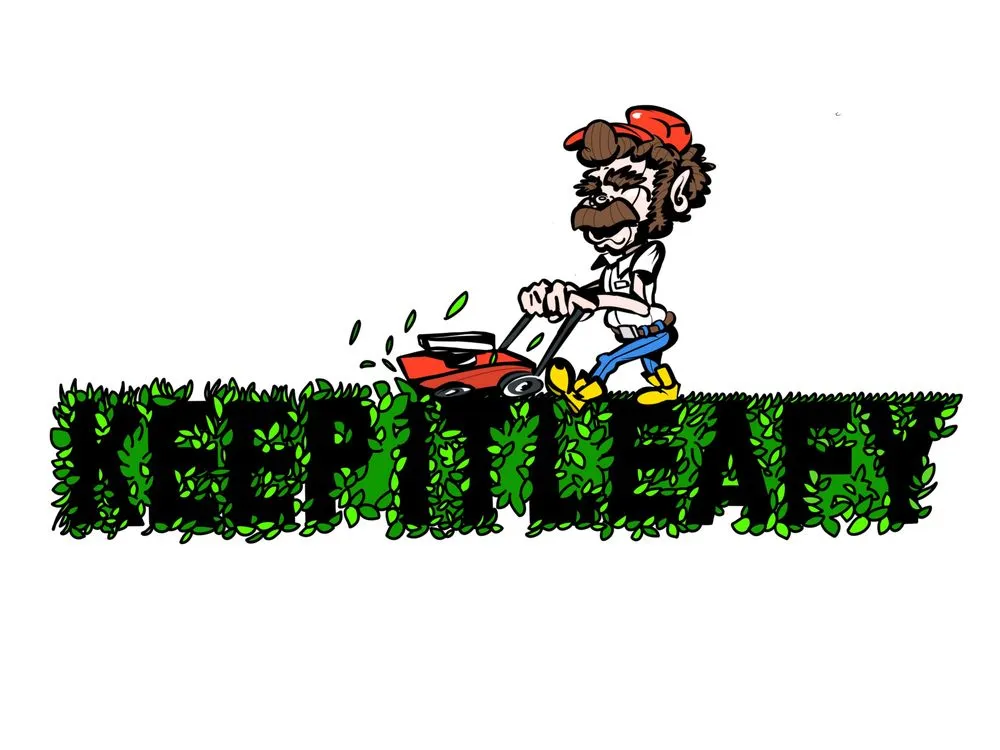 Reliable yard cleanup service experts serving South Los Angeles, CA - Keep It Leafy