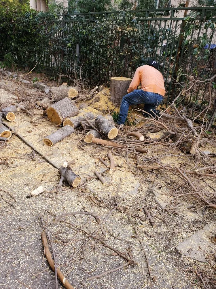 Trusted lawn care service experts serving South Los Angeles, CA - Keep It Leafy