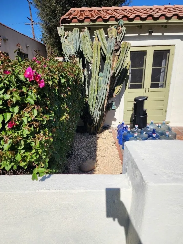 Expert yard cleanup service with custom design in South Los Angeles, CA by Keep It Leafy
