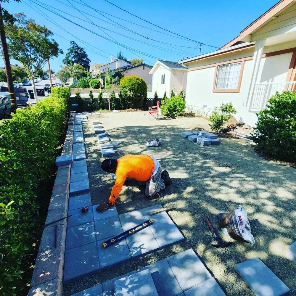 Affordable lawn care service in South Los Angeles, CA by Keep It Leafy