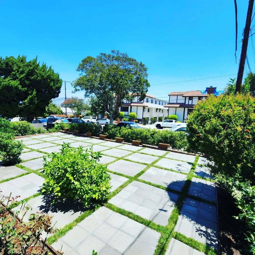 Professional landscape installation in South Los Angeles, CA - Keep It Leafy