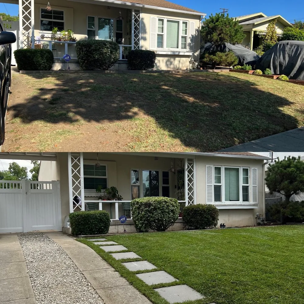 Top-rated landscape installation experts serving South Los Angeles, CA - Keep It Leafy