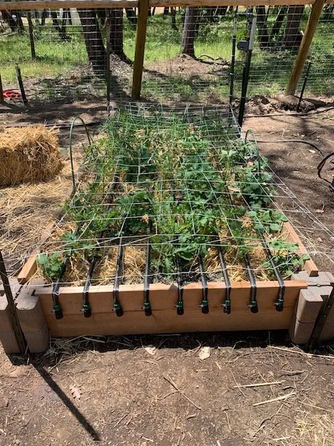 Top-rated landscape installation in Grants Pass, OR - Keep It Local Excavation & Land Management