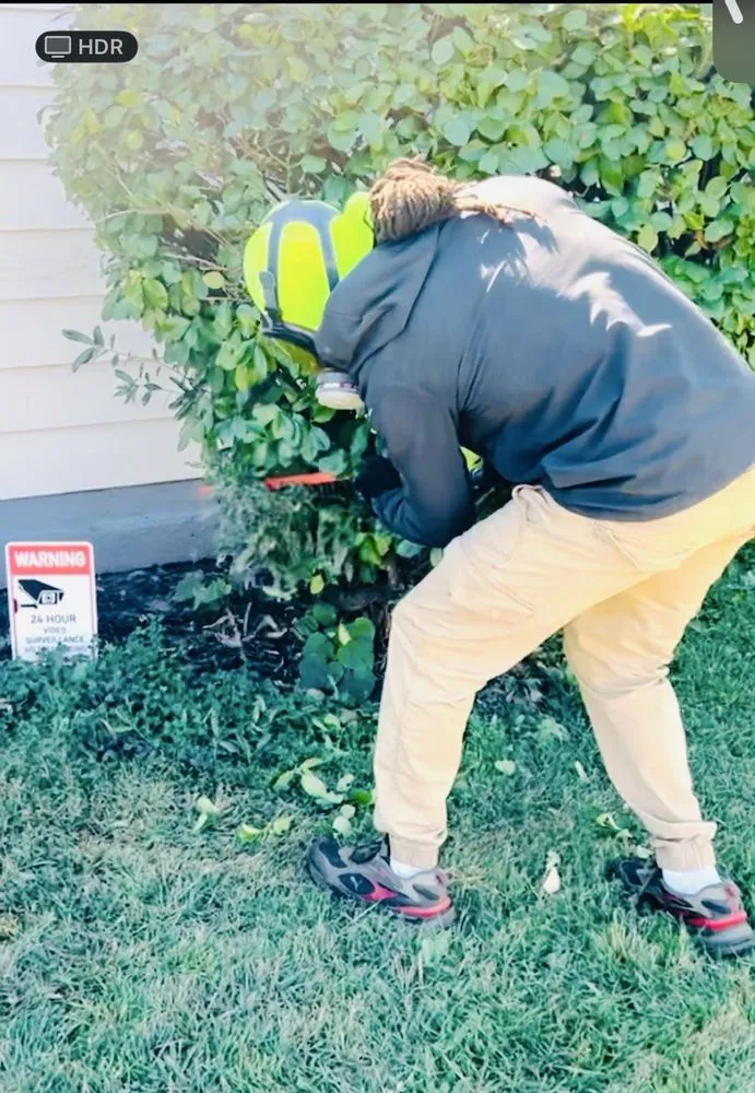 Reliable landscape design for beautiful yards in Memphis, TN by Keep It Low Landscaping