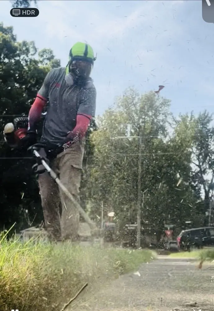 Custom landscaping services for year-round maintenance across Memphis, TN - Keep It Low Landscaping