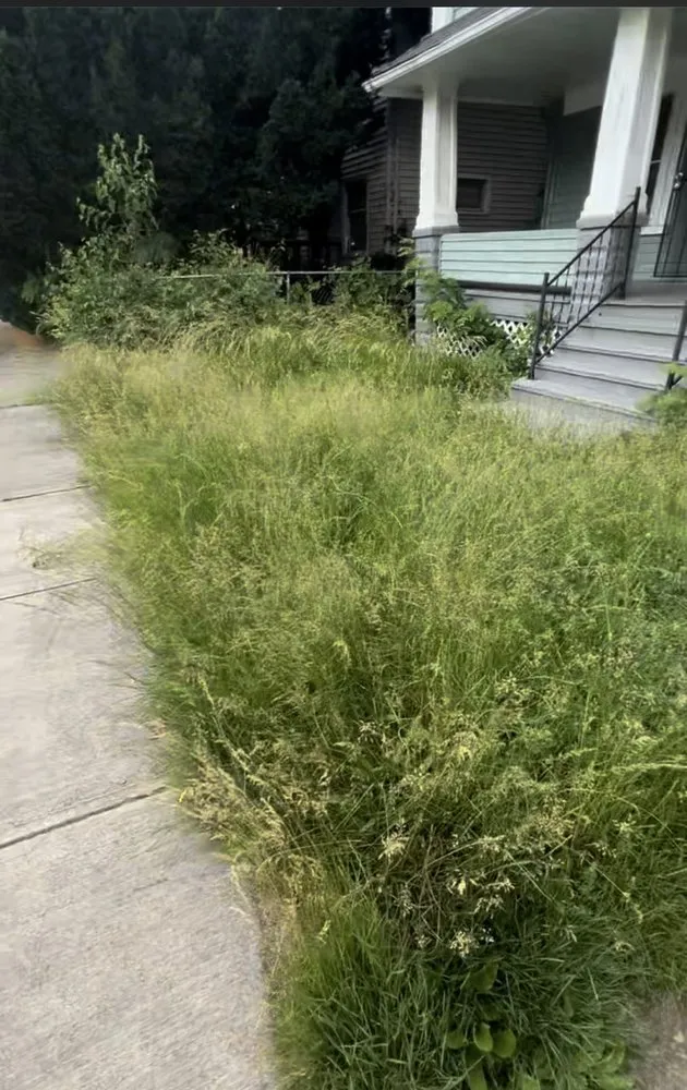 Expert landscape installation experts serving Garfield Heights, OH - Keep It Moving Landscaping