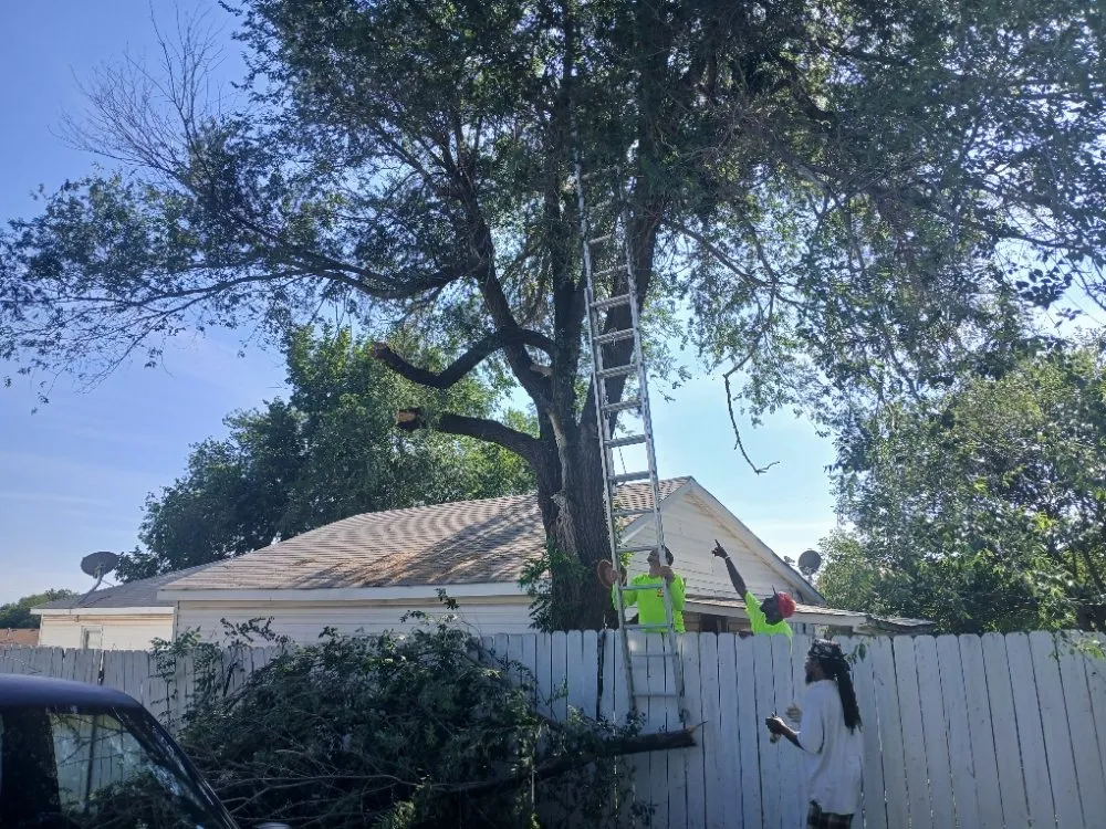 Affordable lawn mowing service in Lawton, OK by Keep It Pushing Lawn care & Tree service