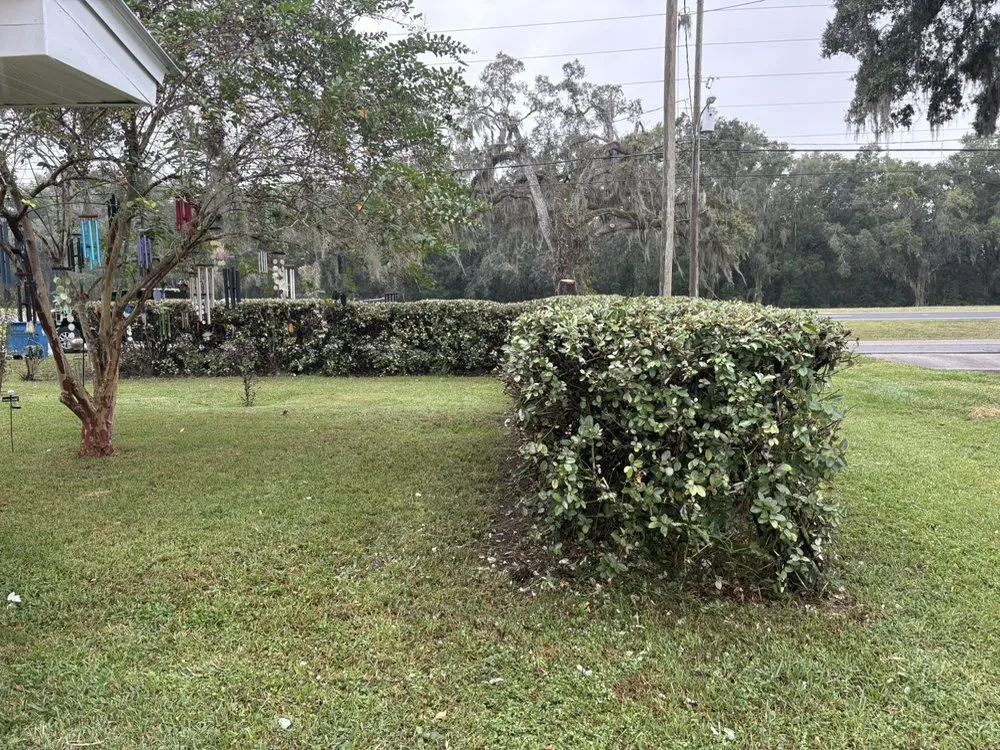 Professional residential landscaping experts serving Brooksville, FL - Keep It Sharp