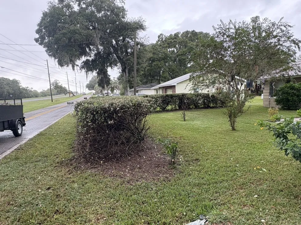 Reliable lawn mowing service in Brooksville, FL by Keep It Sharp