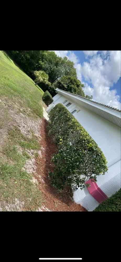 Expert residential landscaping experts serving Brooksville, FL - Keep It Sharp