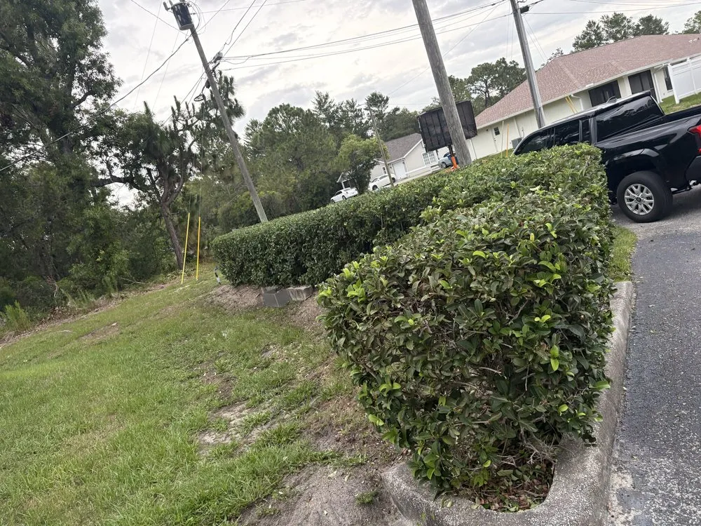 Top-rated outdoor landscaping in Brooksville, FL by Keep It Sharp