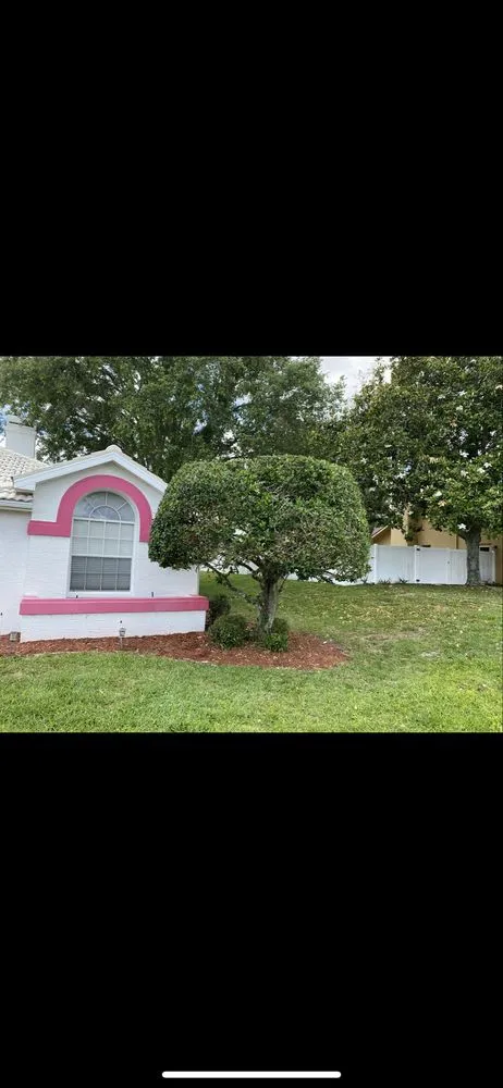 Affordable landscaping services near you in Brooksville, FL by Keep It Sharp