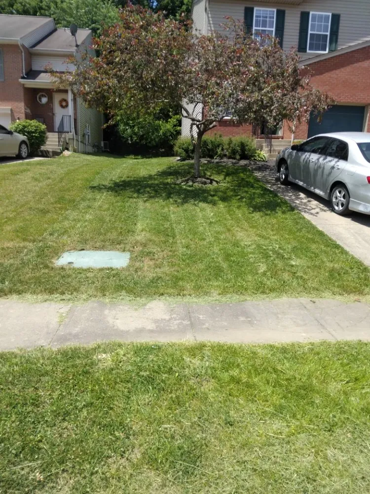 Local yard maintenance in Elsmere, KY - Keep It Short Lawn Care