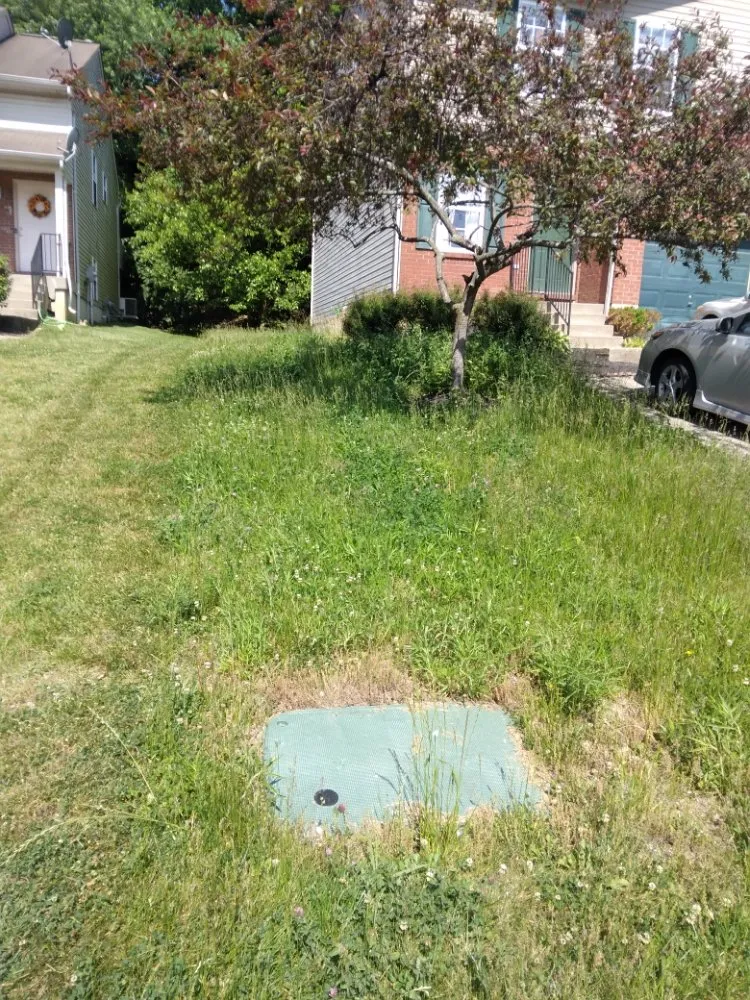 Local outdoor landscaping experts serving Elsmere, KY - Keep It Short Lawn Care