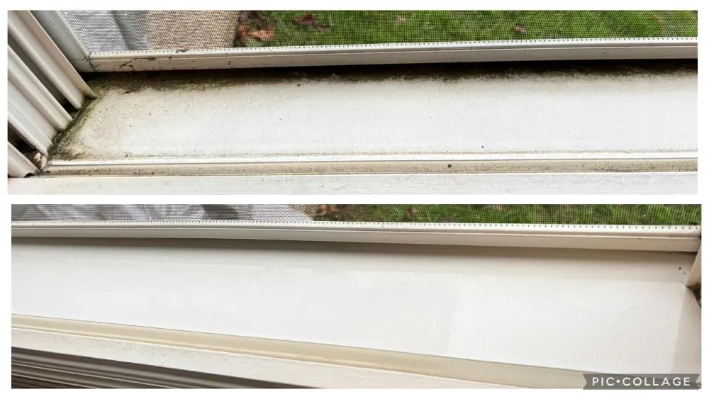 Expert yard maintenance for year-round maintenance across Somerset, KY - Keep It Simple Cleaning